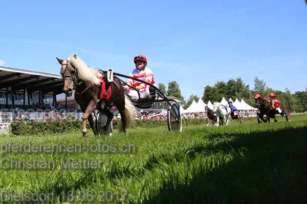ET0Q0008.4 prot